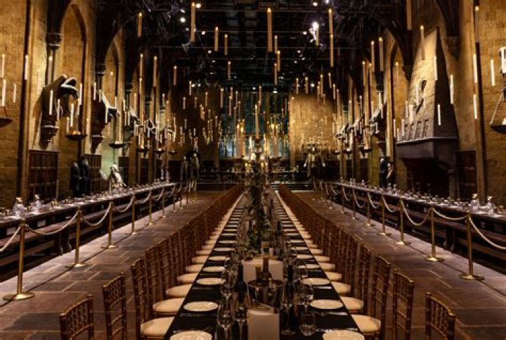 harry potter dining experience, best free HD movies, latest Harry Potter online videos in 2022 – 2023