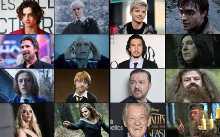 harry potter quiz show cast, latest free online harry potter movies, best HD videos you should watch in 2022 – 2023
