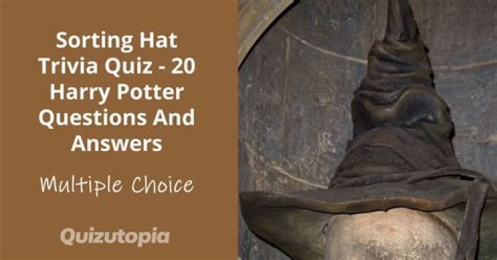 harry potter quizzes sorting hat quiz, latest free online harry potter movies, best HD videos you should watch in 2022 – 2023