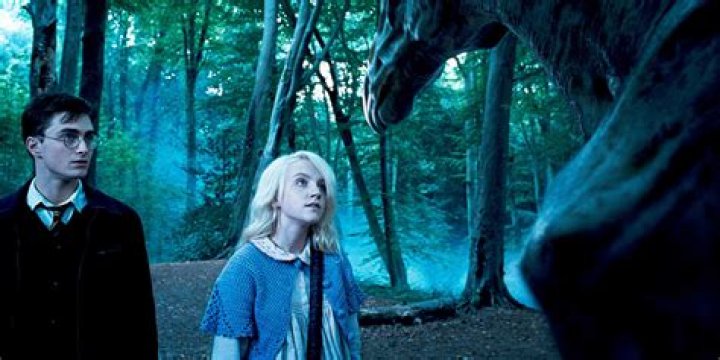 harry potter ravenclaw luna lovegood, best free HD movies, latest Harry Potter online videos in 2022 – 2023