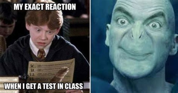 harry potter test meme, latest free online harry potter movies, best HD videos you should watch in 2022 – 2023