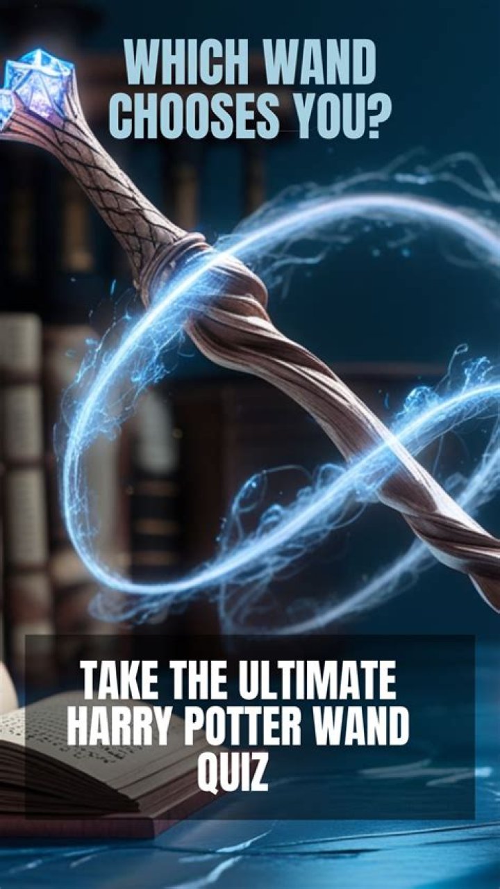 harry potter wand quiz wizardmore, latest free online harry potter movies, best HD videos you should watch in 2022 – 2023