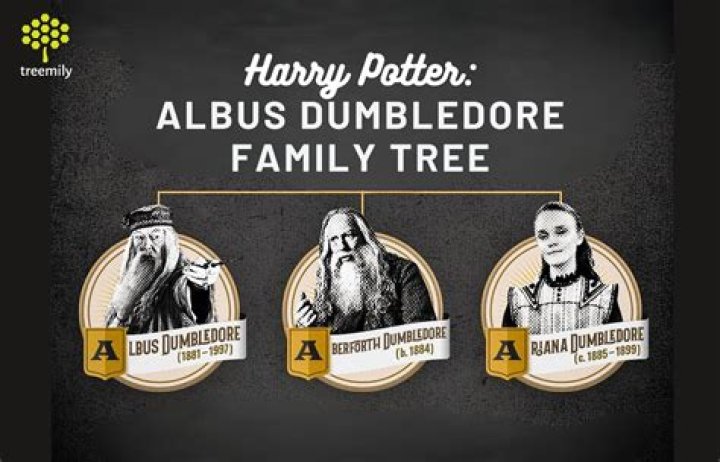 harry potter wiki albus dumbledore, latest free online harry potter movies, best HD videos you should watch in 2022 – 2023