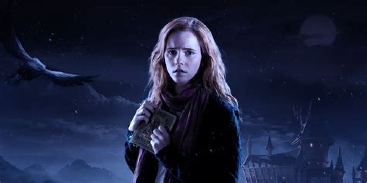 harry potter wiki grindelwald, latest free online harry potter movies, best HD videos you should watch in 2022 – 2023