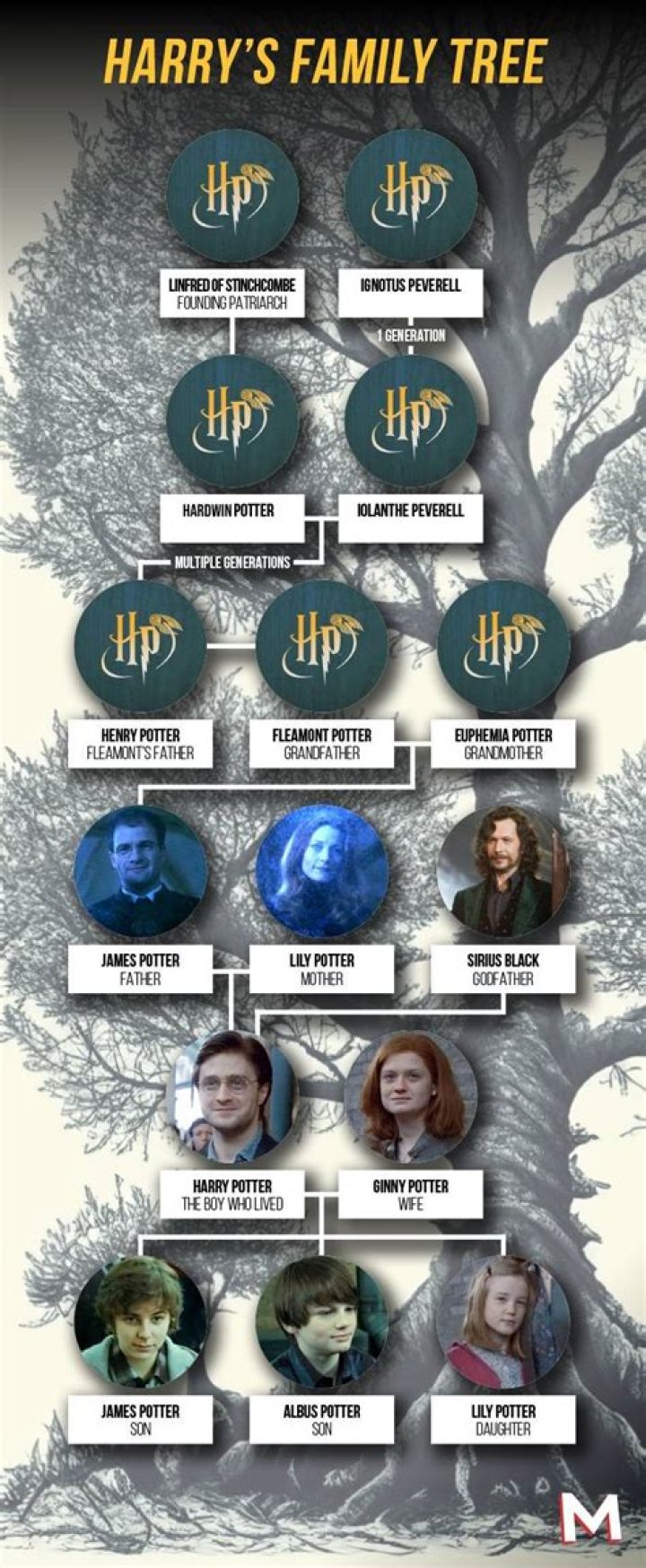 harry potter wizarding world family tree, latest free online harry potter movies, best HD videos you should watch in 2022 – 2023