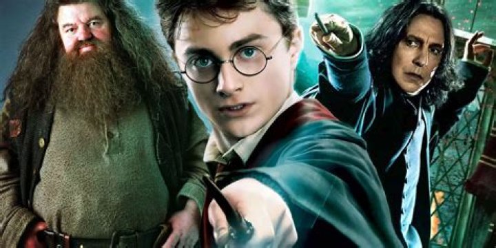 harry potter x top male reader, latest free online harry potter movies, best HD videos you should watch in 2022 – 2023