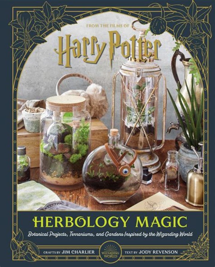 jujube harry potter mini helix, best free HD movies, latest Harry Potter online videos in 2022 – 2023