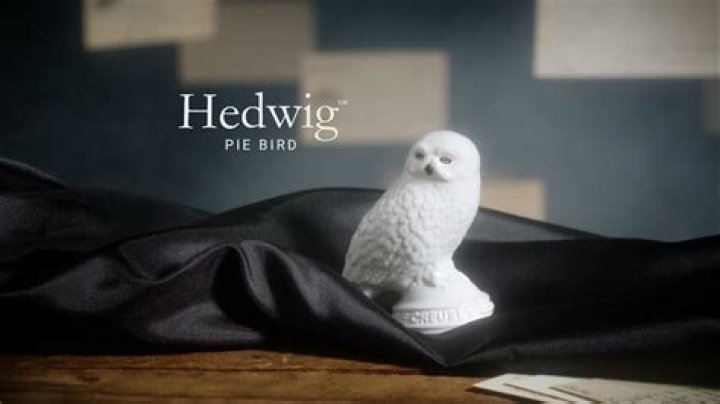 le creuset harry potter hedwig pie bird, best free HD movies, latest Harry Potter online videos in 2022 – 2023
